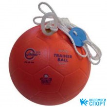 Подвесной мяч для тренажера №4 фото